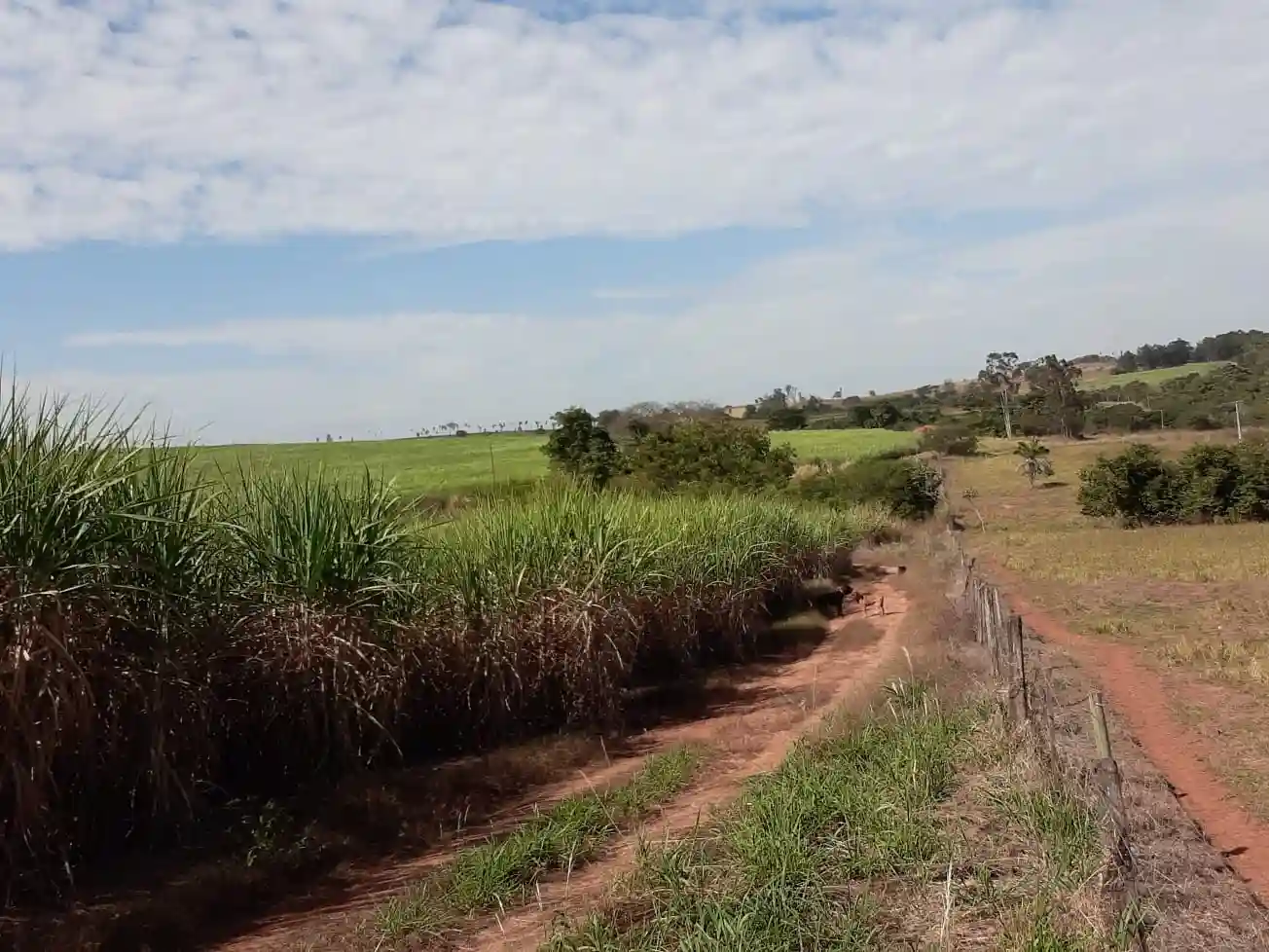 Fazenda / Sítio / Chácara à venda — foto 7 de 7