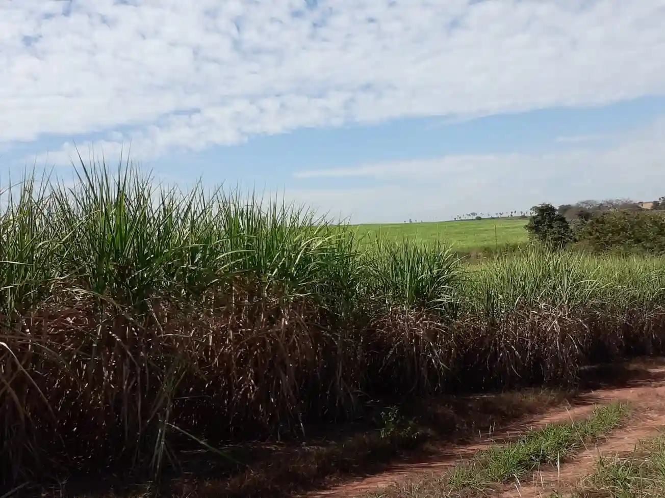 Fazenda / Sítio / Chácara à venda — foto 5 de 7
