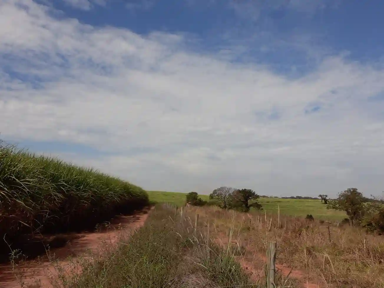 Fazenda / Sítio / Chácara à venda — foto 2 de 7