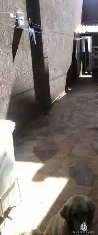 Casa com 3 quartos à venda, 300m² — foto 8 de 19