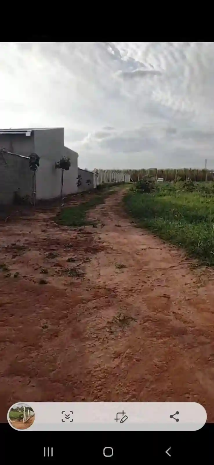 Fazenda / Sítio / Chácara  à venda, 3000m² — foto 6 de 11