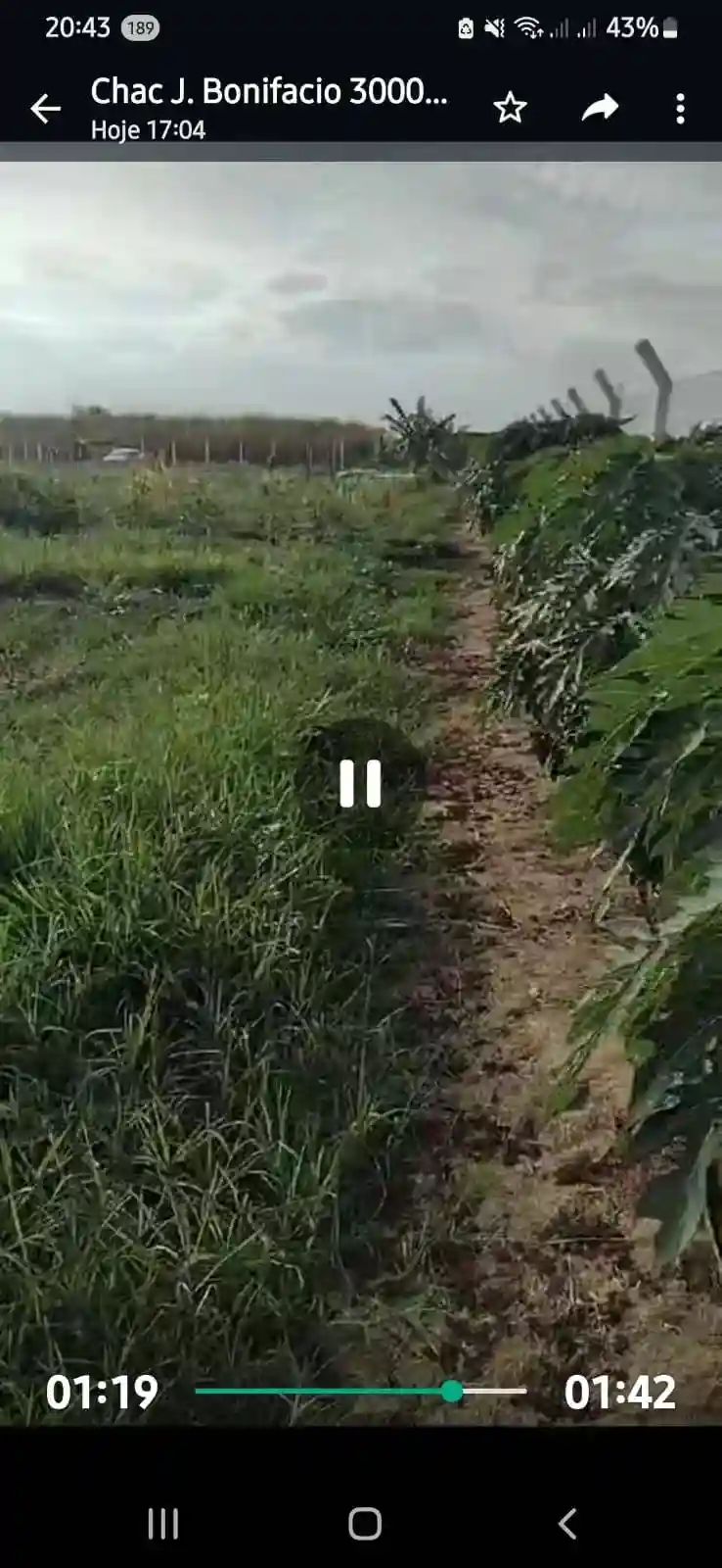 Fazenda / Sítio / Chácara  à venda, 3000m² — foto 4 de 11