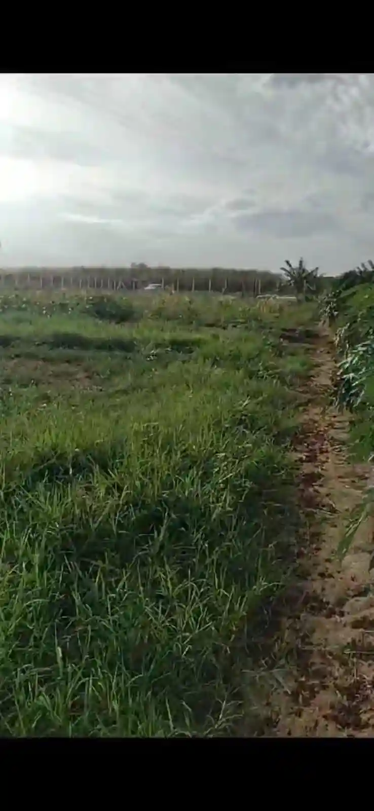 Fazenda / Sítio / Chácara  à venda, 3000m² — foto 2 de 11