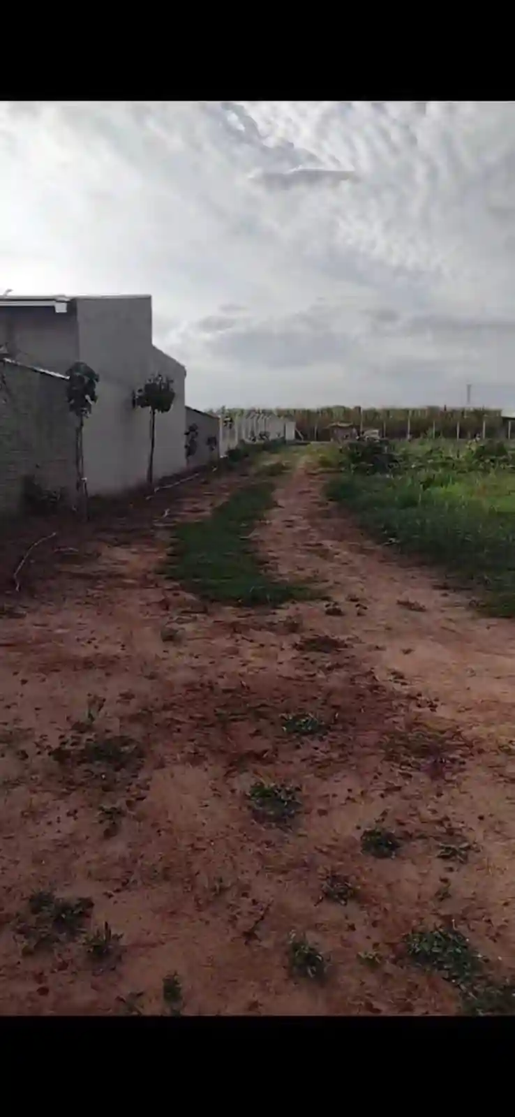Fazenda / Sítio / Chácara  à venda, 3000m² — foto 9 de 11
