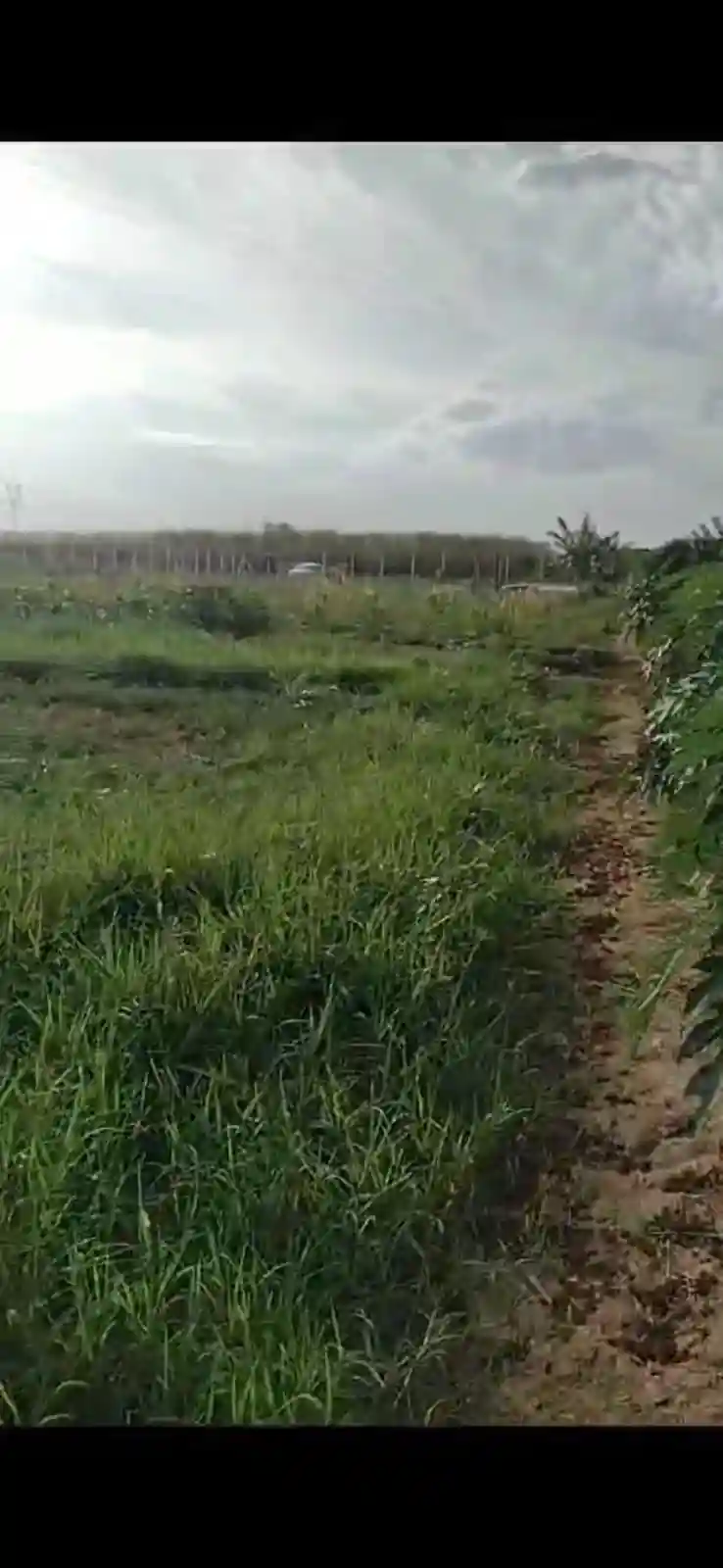 Fazenda / Sítio / Chácara  à venda, 3000m² — foto 5 de 11