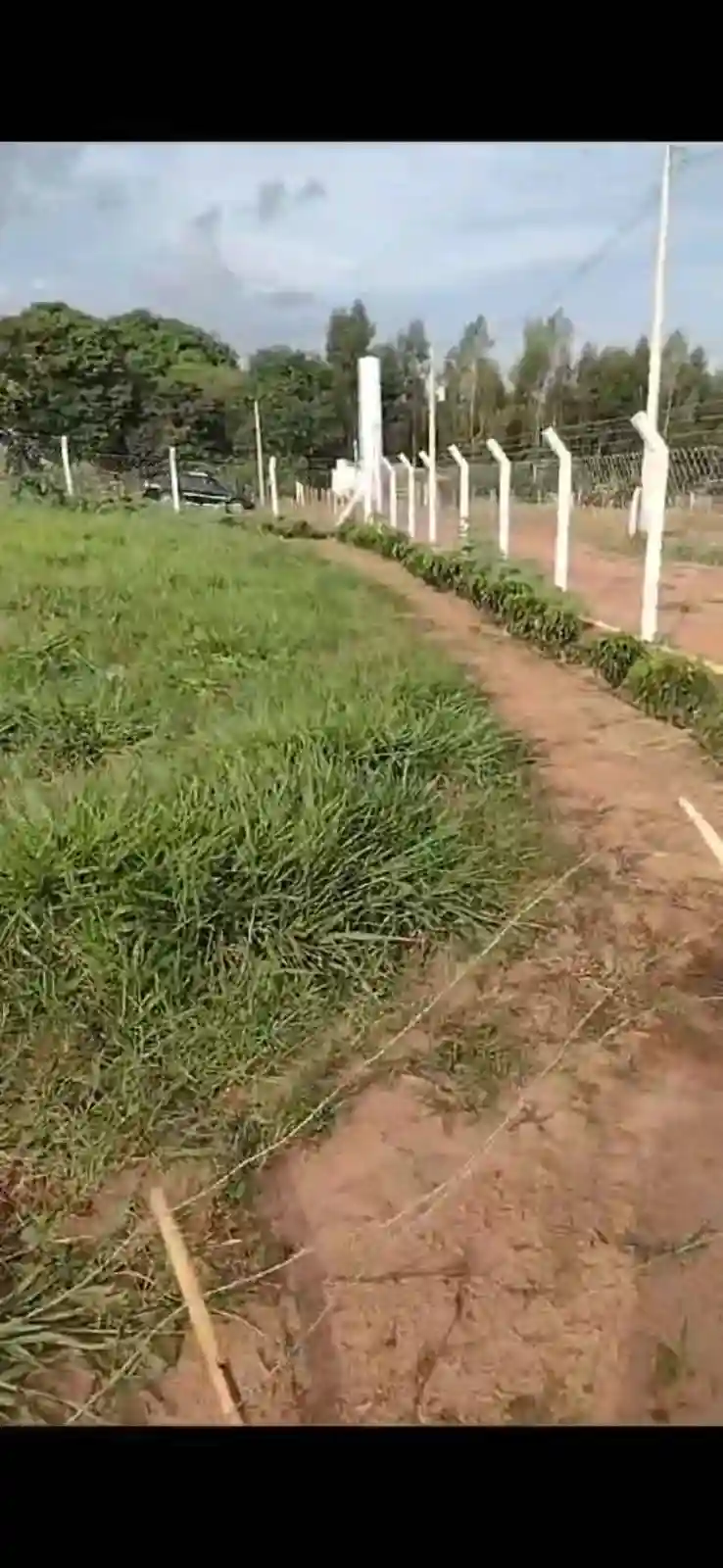 Fazenda / Sítio / Chácara  à venda, 3000m² — foto 10 de 11