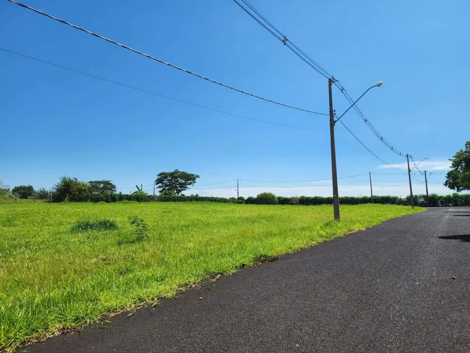 Terreno / Lote / Condomínio  à venda, 5017m² — foto 6 de 8