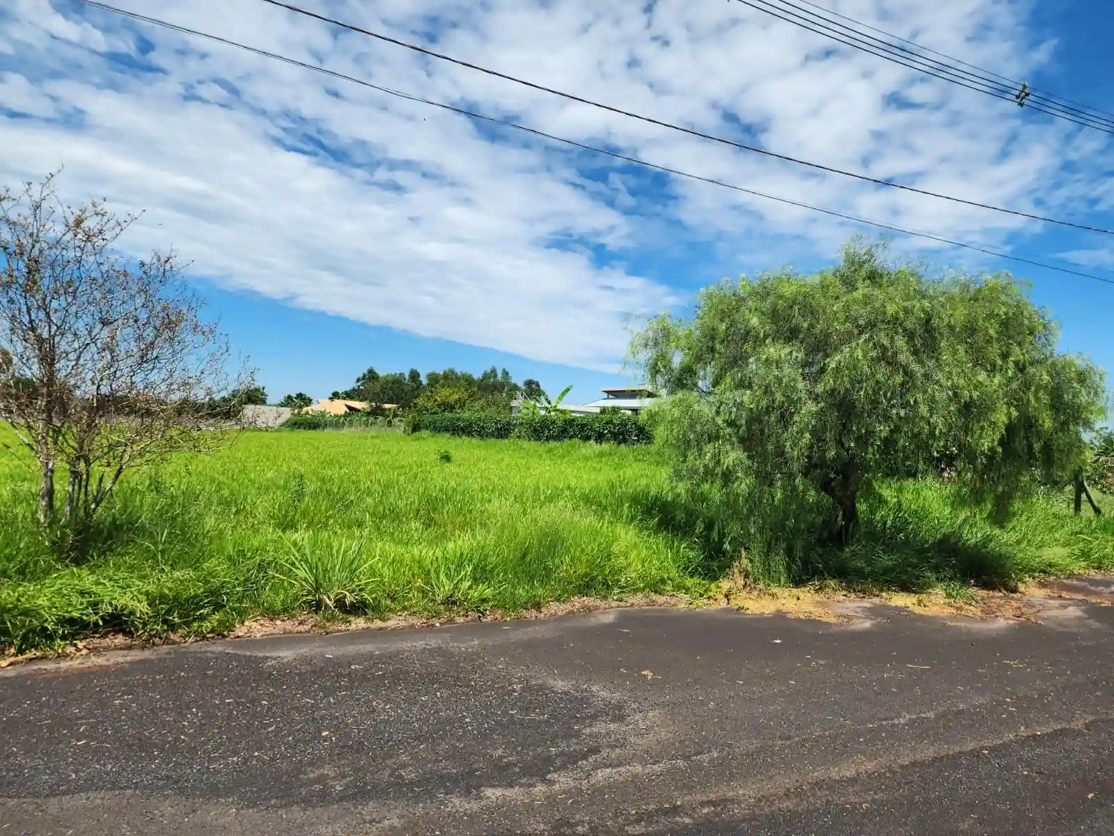 Terreno / Lote / Condomínio  à venda, 5017m² — foto 1 de 8