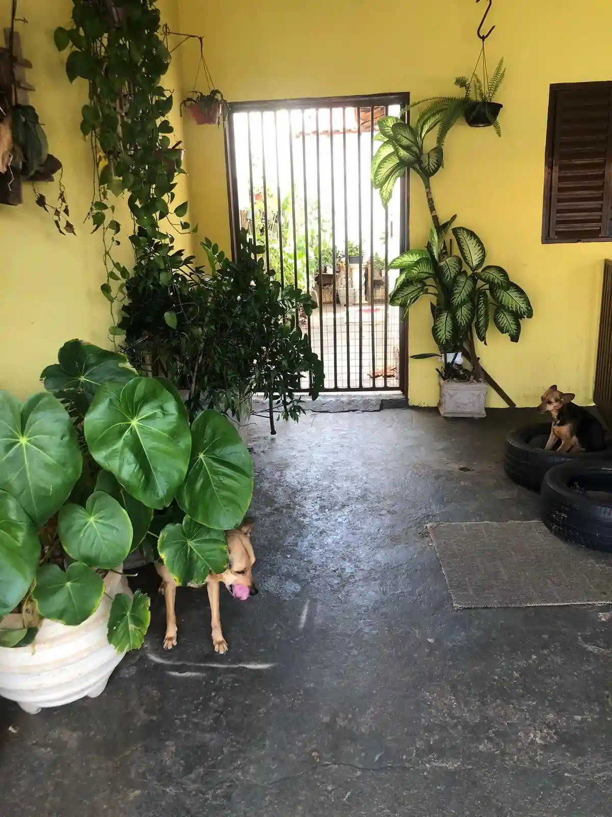 Casa com 2 quartos à venda, 130m² — foto 11 de 13
