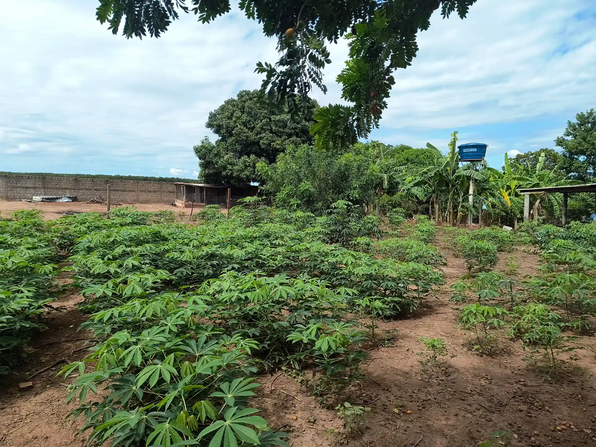 Terreno / Lote / Condomínio à venda, 1060m² — foto 3 de 6