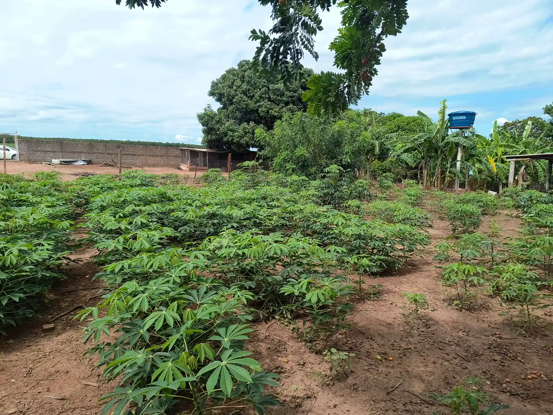 Terreno / Lote / Condomínio à venda, 1060m² — foto 4 de 6