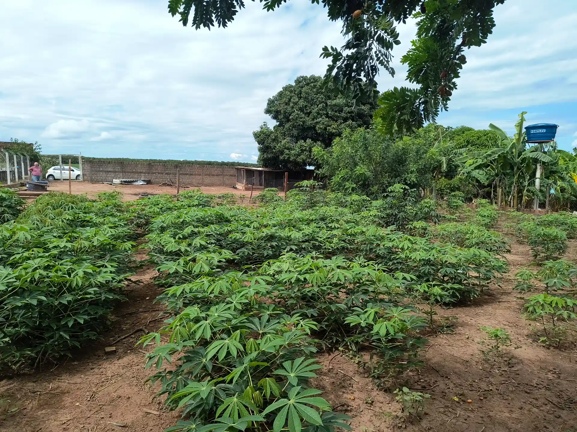 Terreno / Lote / Condomínio à venda, 1060m² — foto 5 de 6