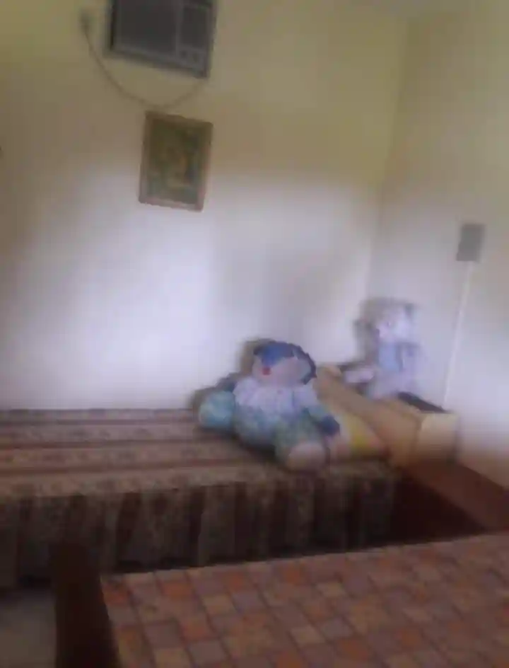 Fazenda / Sítio / Chácara com 2 quartos à venda, 975m² — foto 16 de 16