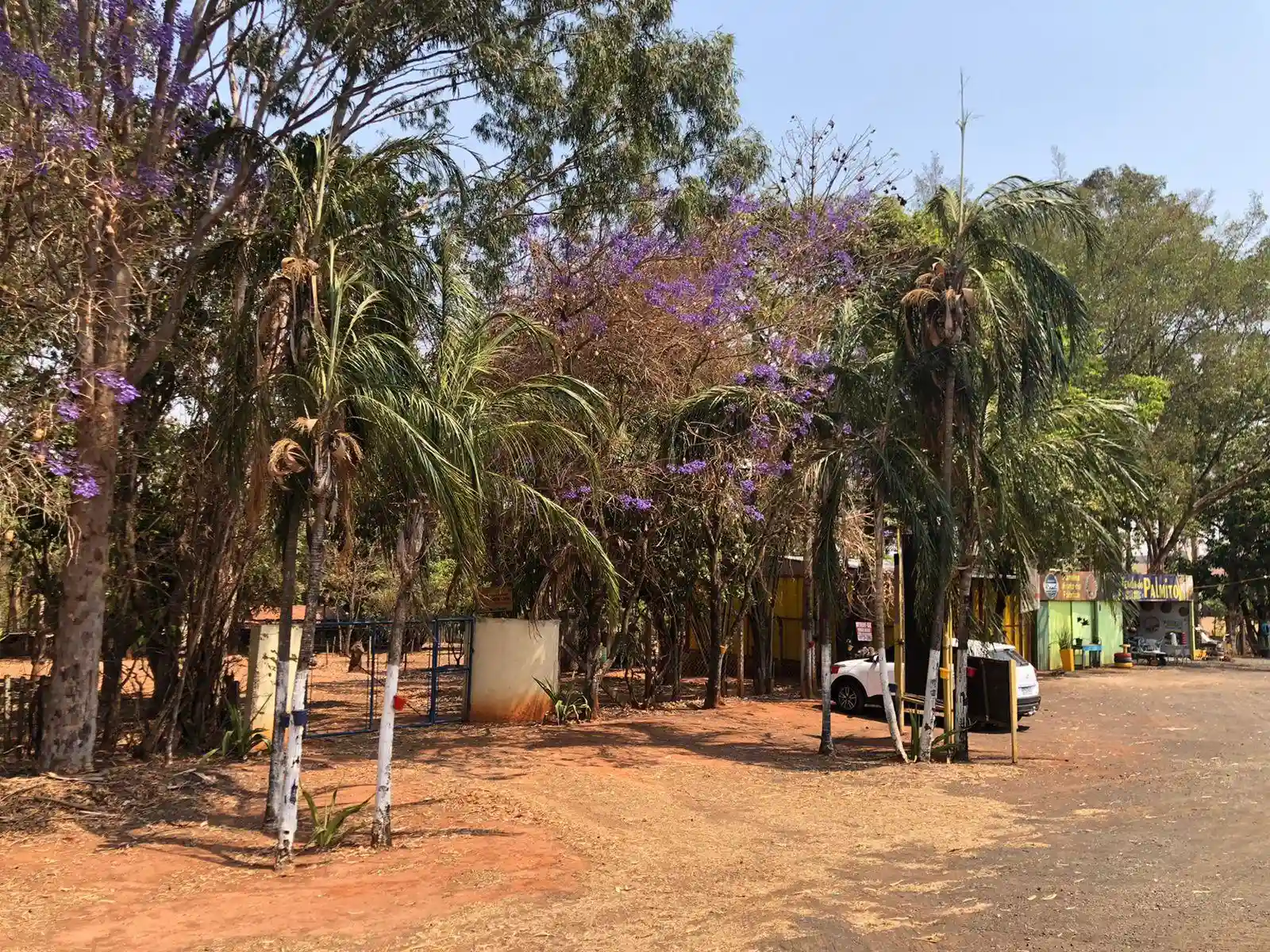Fazenda / Sítio / Chácara  à venda, 48m² — foto 2 de 22