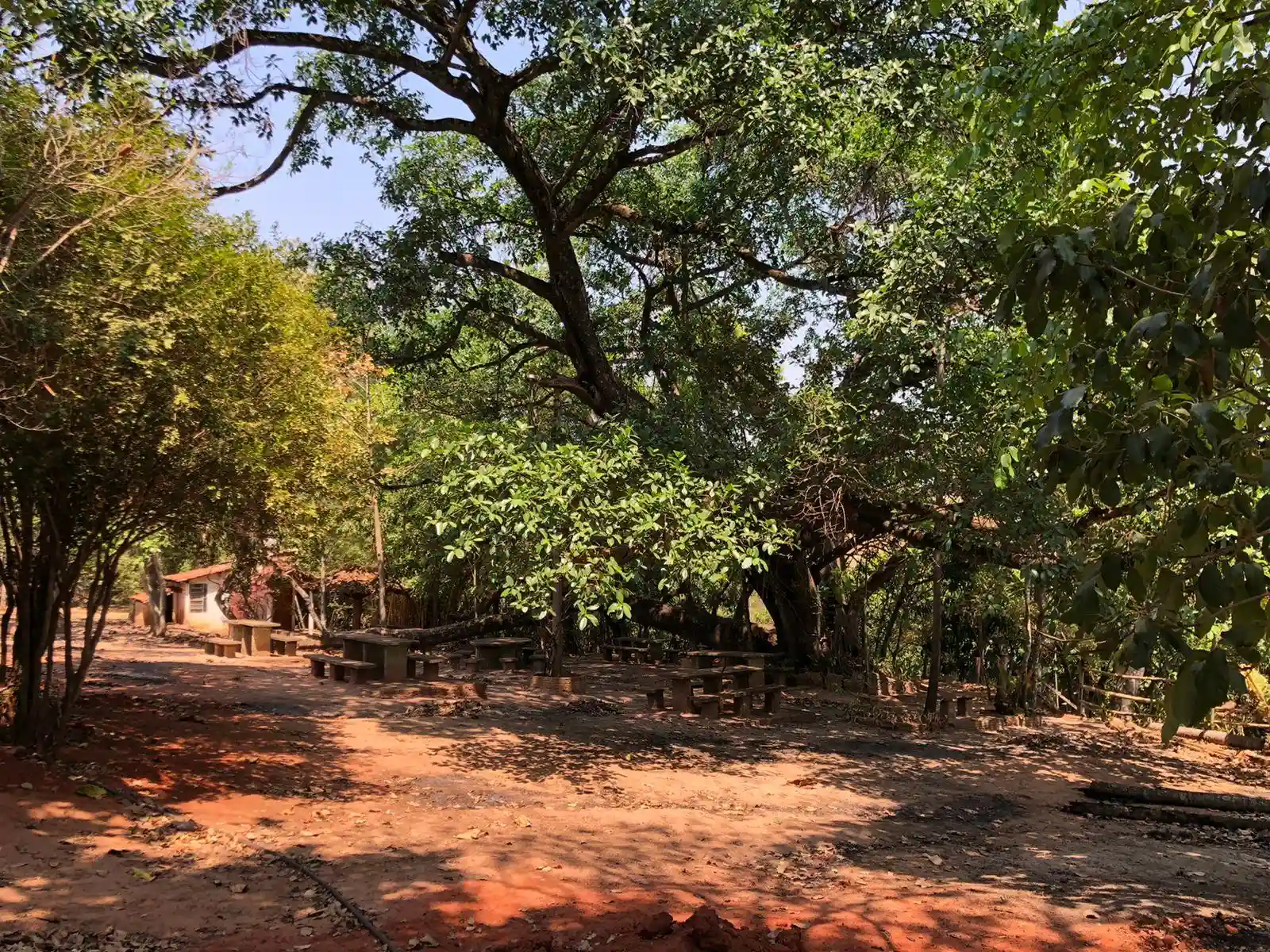 Fazenda / Sítio / Chácara  à venda, 48m² — foto 3 de 22