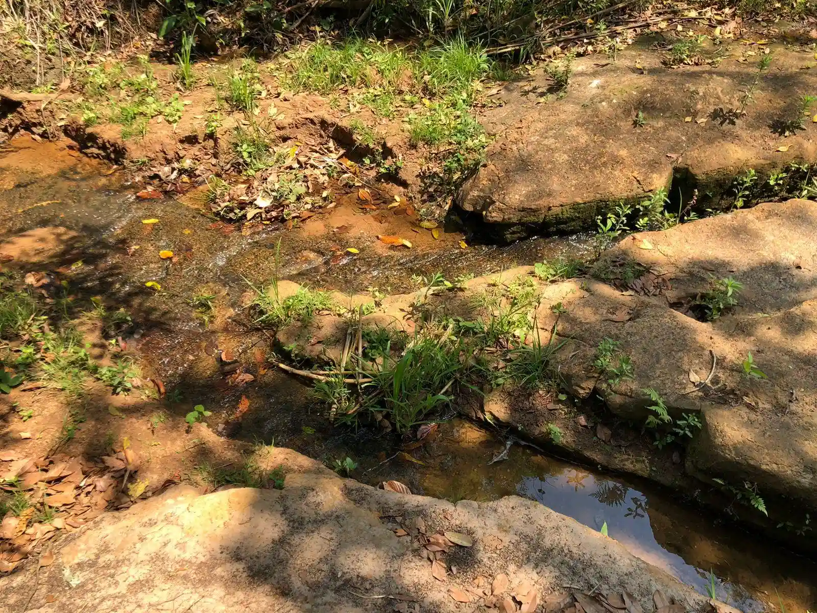 Fazenda / Sítio / Chácara  à venda, 48m² — foto 9 de 22