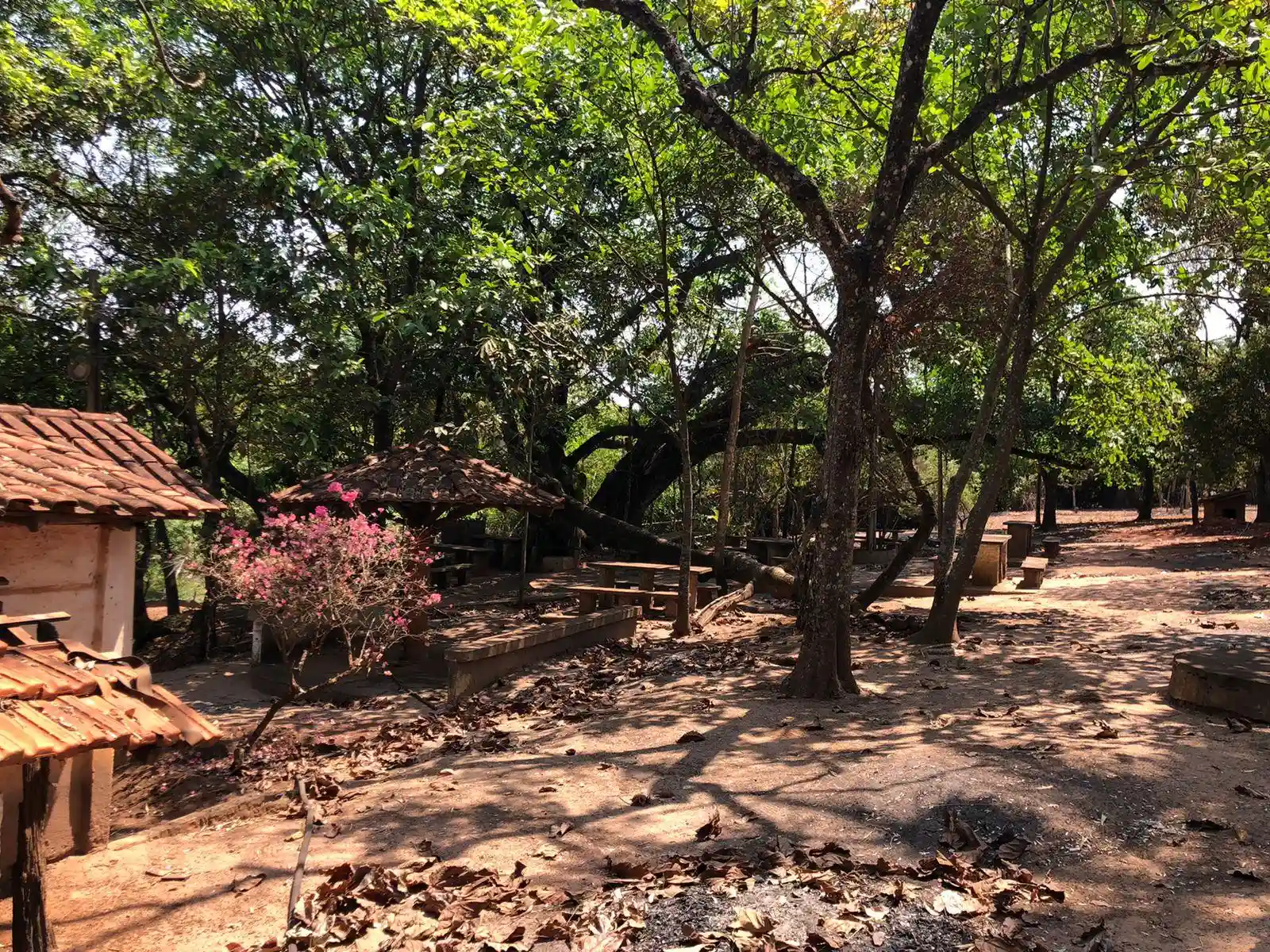 Fazenda / Sítio / Chácara  à venda, 48m² — foto 17 de 22