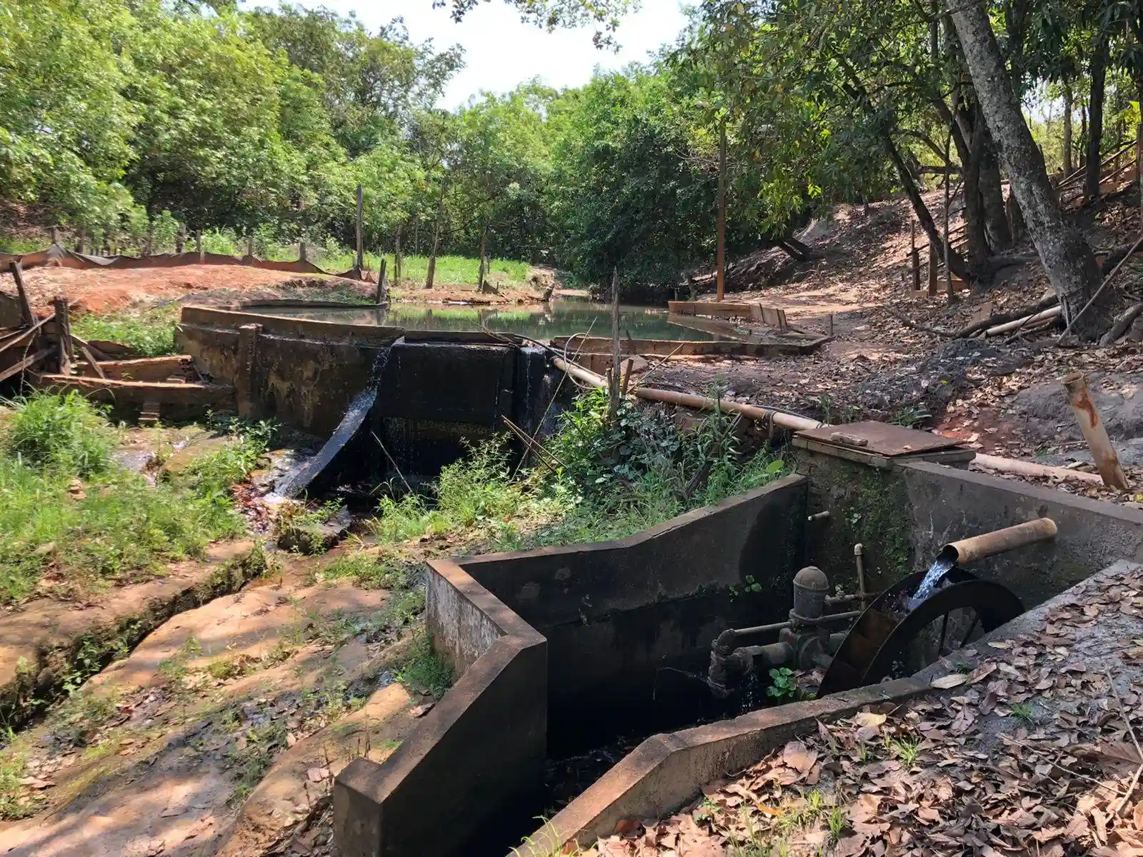 Fazenda / Sítio / Chácara  à venda, 48m² — foto 11 de 22
