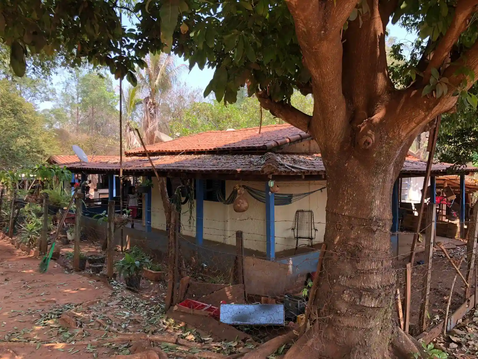 Fazenda / Sítio / Chácara  à venda, 48m² — foto 22 de 22
