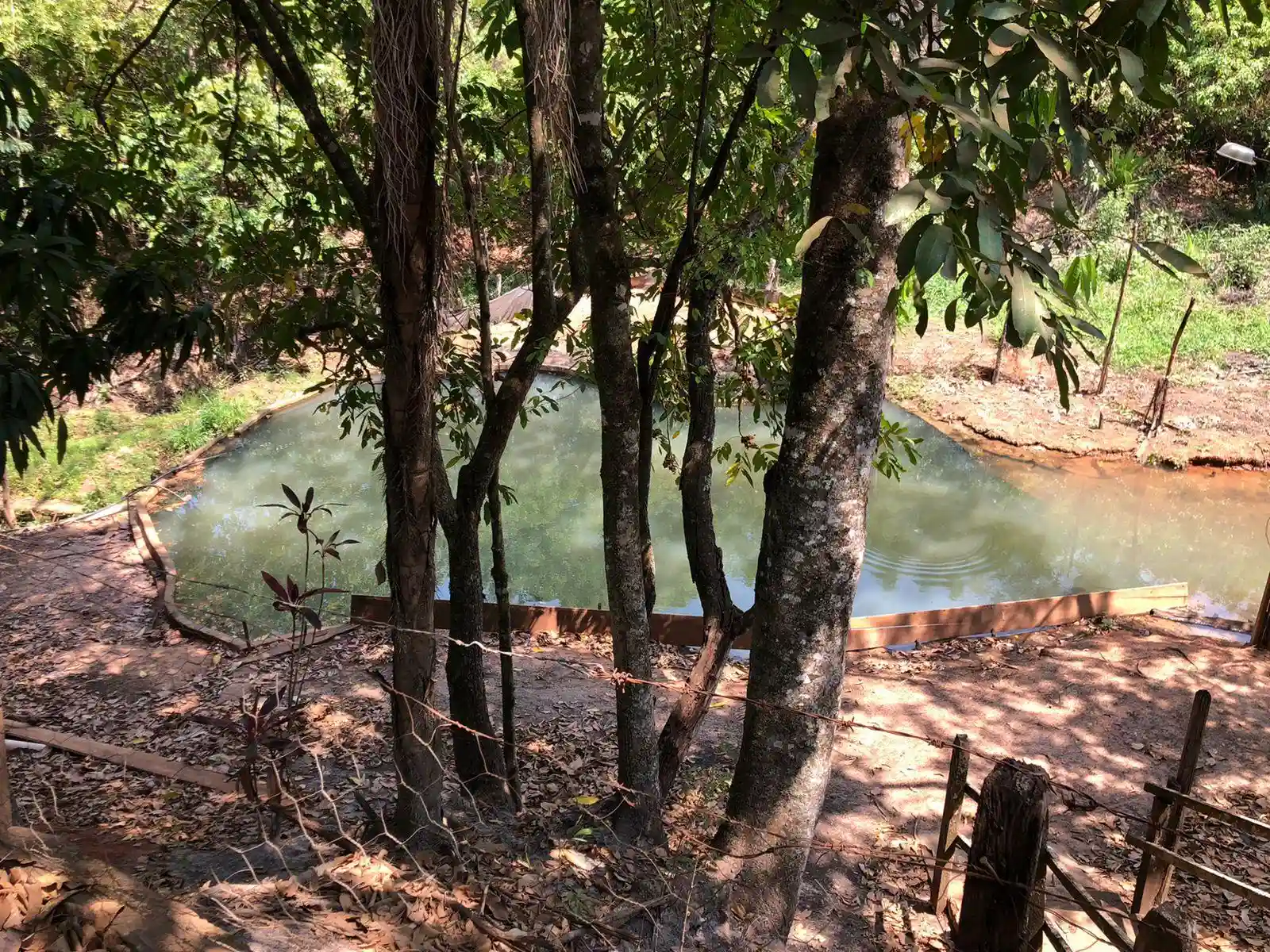 Fazenda / Sítio / Chácara  à venda, 48m² — foto 8 de 22