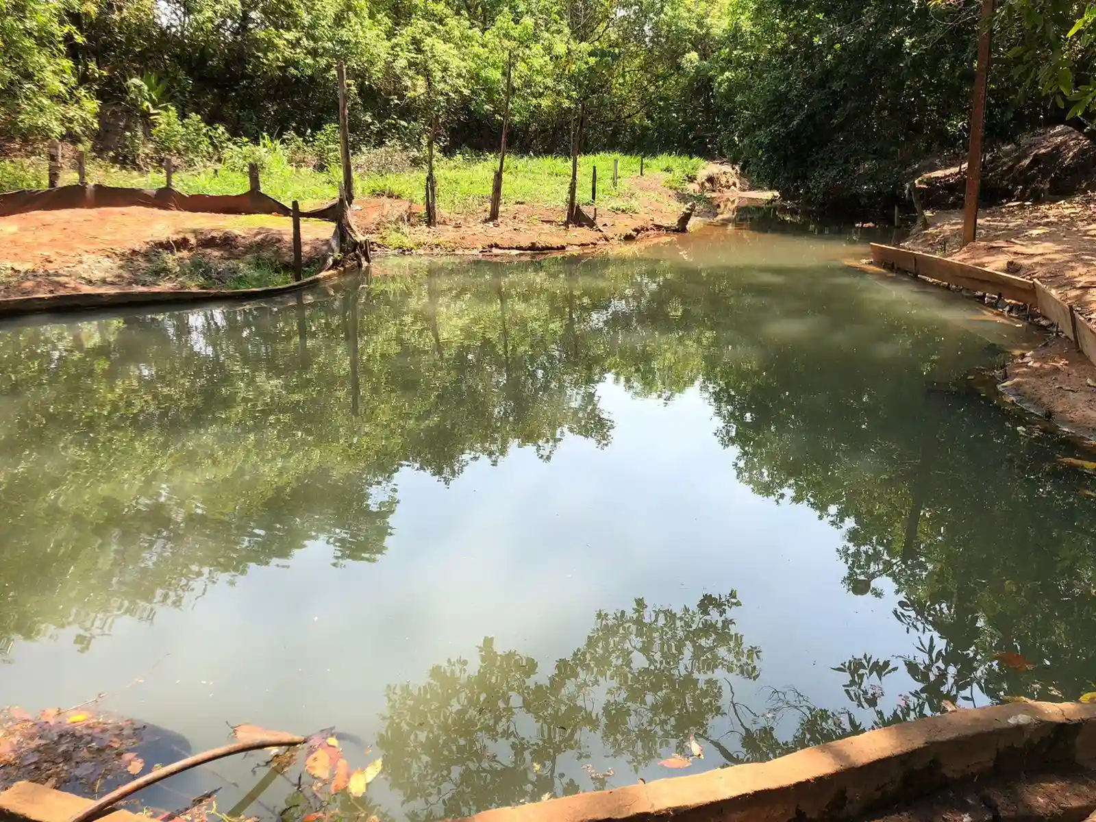 Fazenda / Sítio / Chácara  à venda, 48m² — foto 6 de 22
