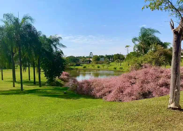 Terreno / Lote / Condomínio  à venda, 900m² — foto 3 de 4