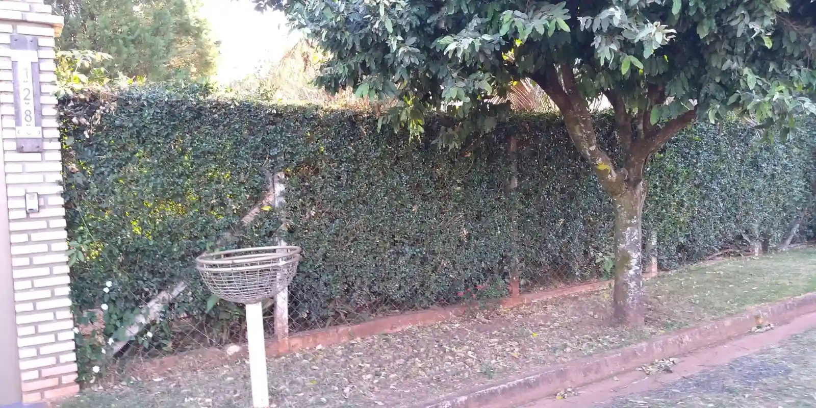 Fazenda / Sítio / Chácara com 3 quartos à venda, 210m² — foto 29 de 29