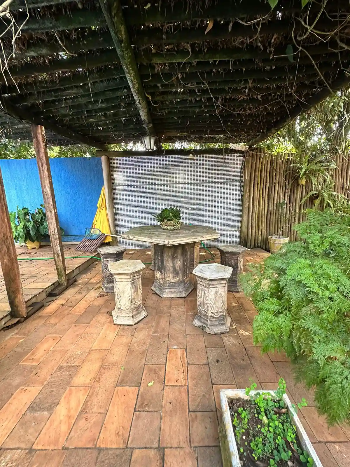 Fazenda / Sítio / Chácara com 3 quartos à venda, 210m² — foto 13 de 29