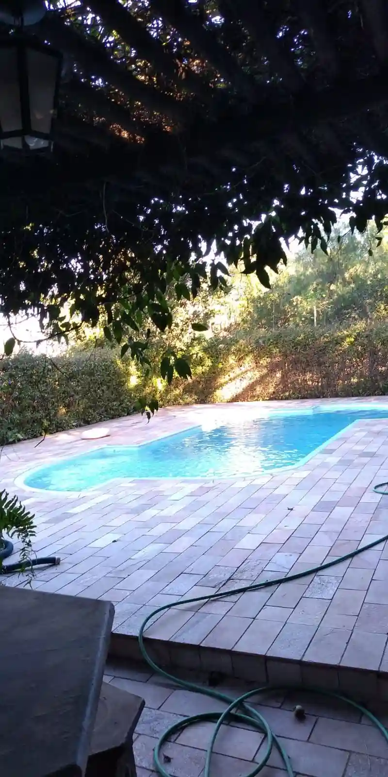 Fazenda / Sítio / Chácara com 3 quartos à venda, 210m² — foto 25 de 29