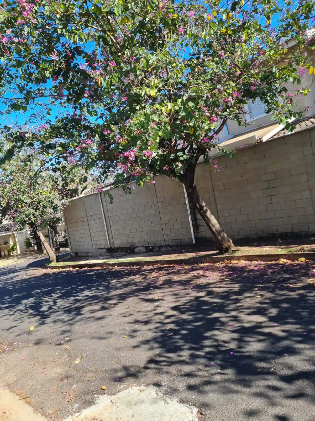 Sobrado com 3 quartos à venda, 150m² — foto 2 de 14