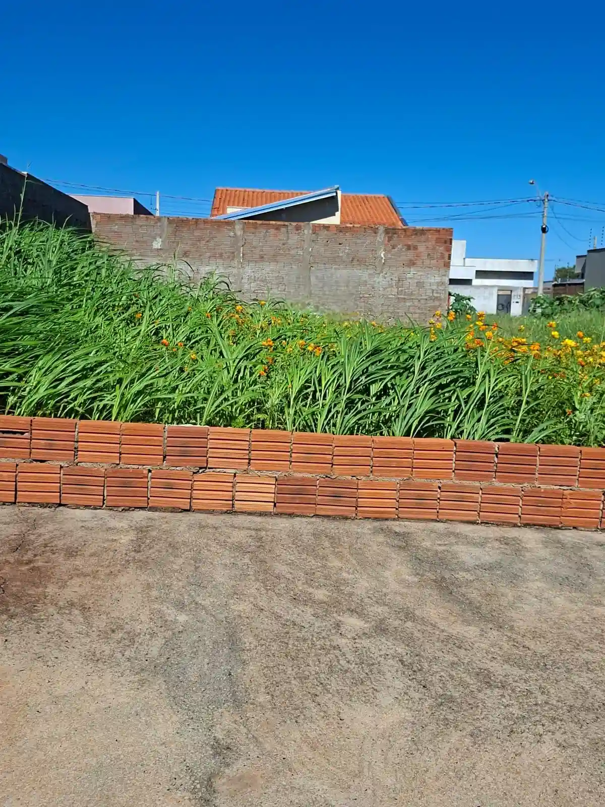 Casa com 1 quarto à venda, 450m² — foto 24 de 26