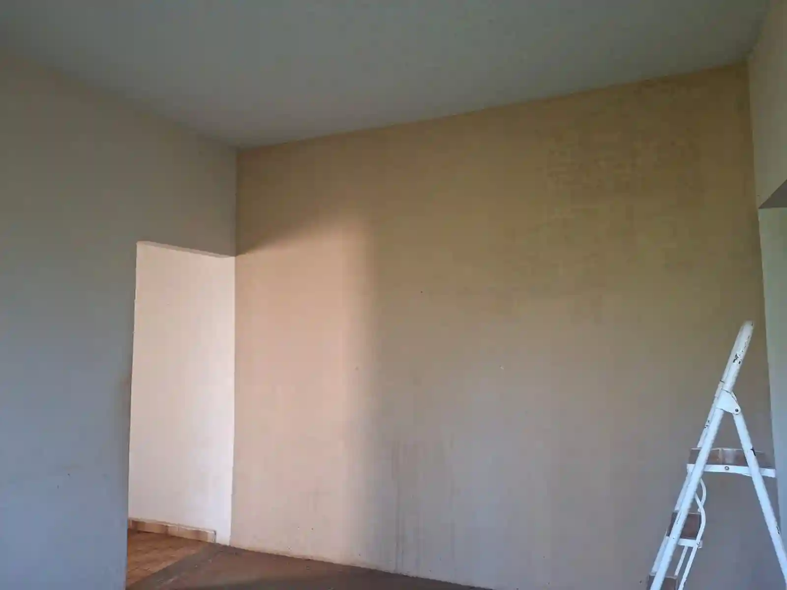 Casa com 1 quarto à venda, 450m² — foto 12 de 26