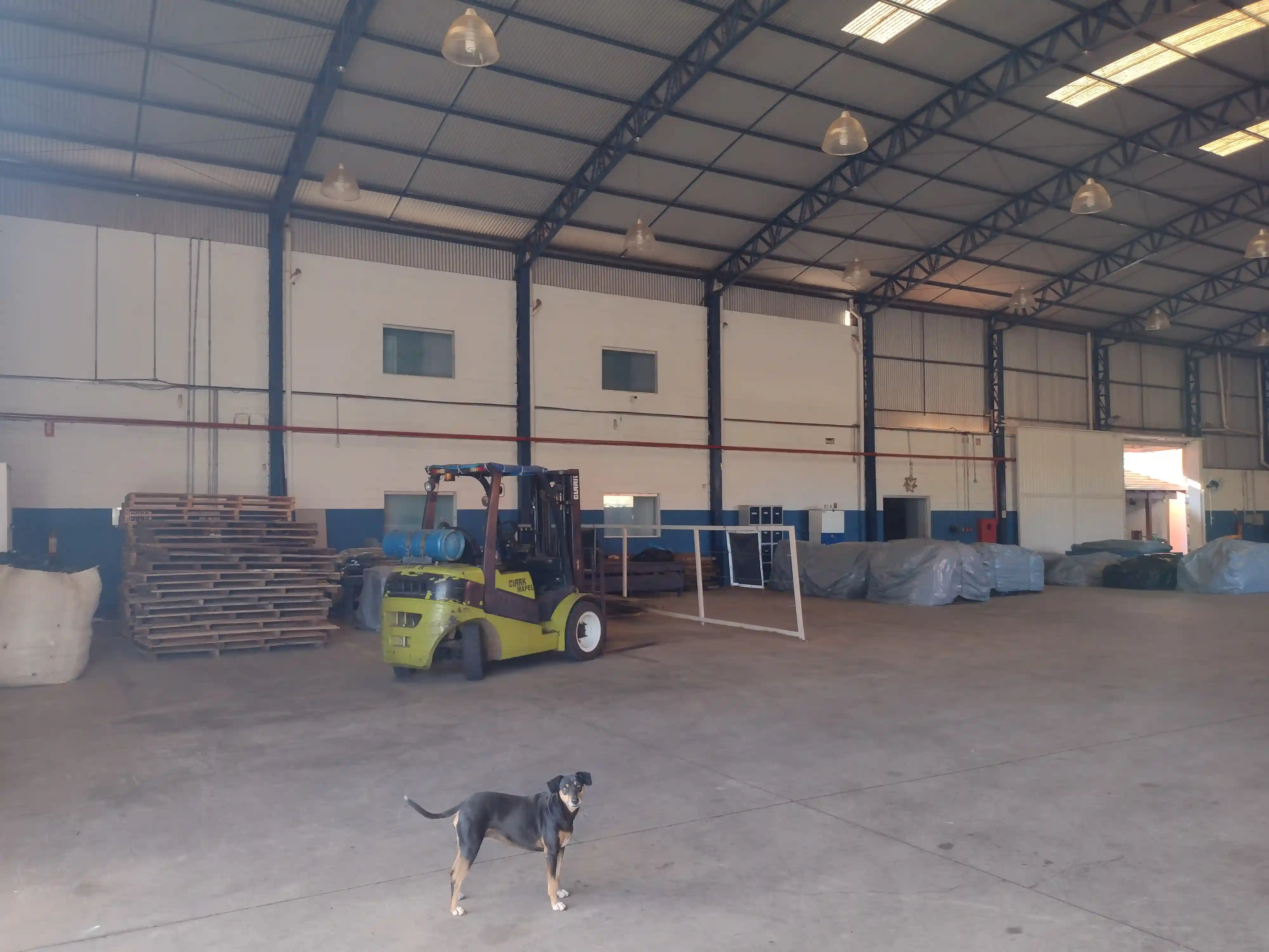 Galpão / Depósito / Armazém  à venda, 900m² — foto 5 de 20