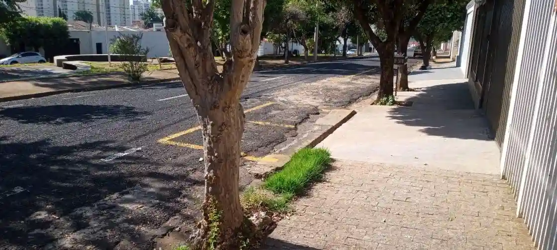 Casa Comercial com 2 quartos à venda, 242m² — foto 4 de 18