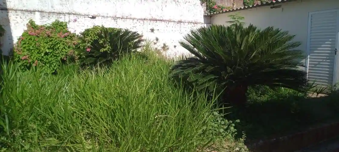 Casa Comercial com 2 quartos à venda, 242m² — foto 9 de 18