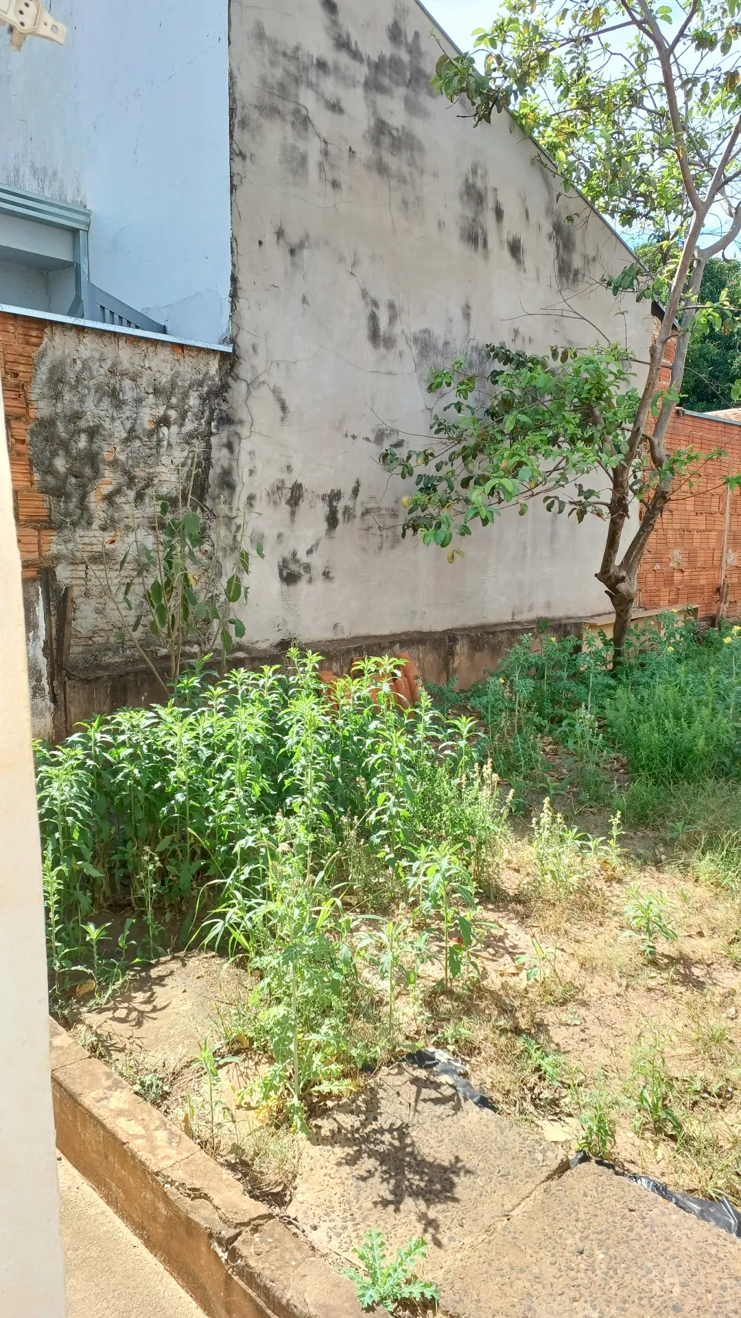 Casa com 2 quartos à venda, 270m² — foto 17 de 17
