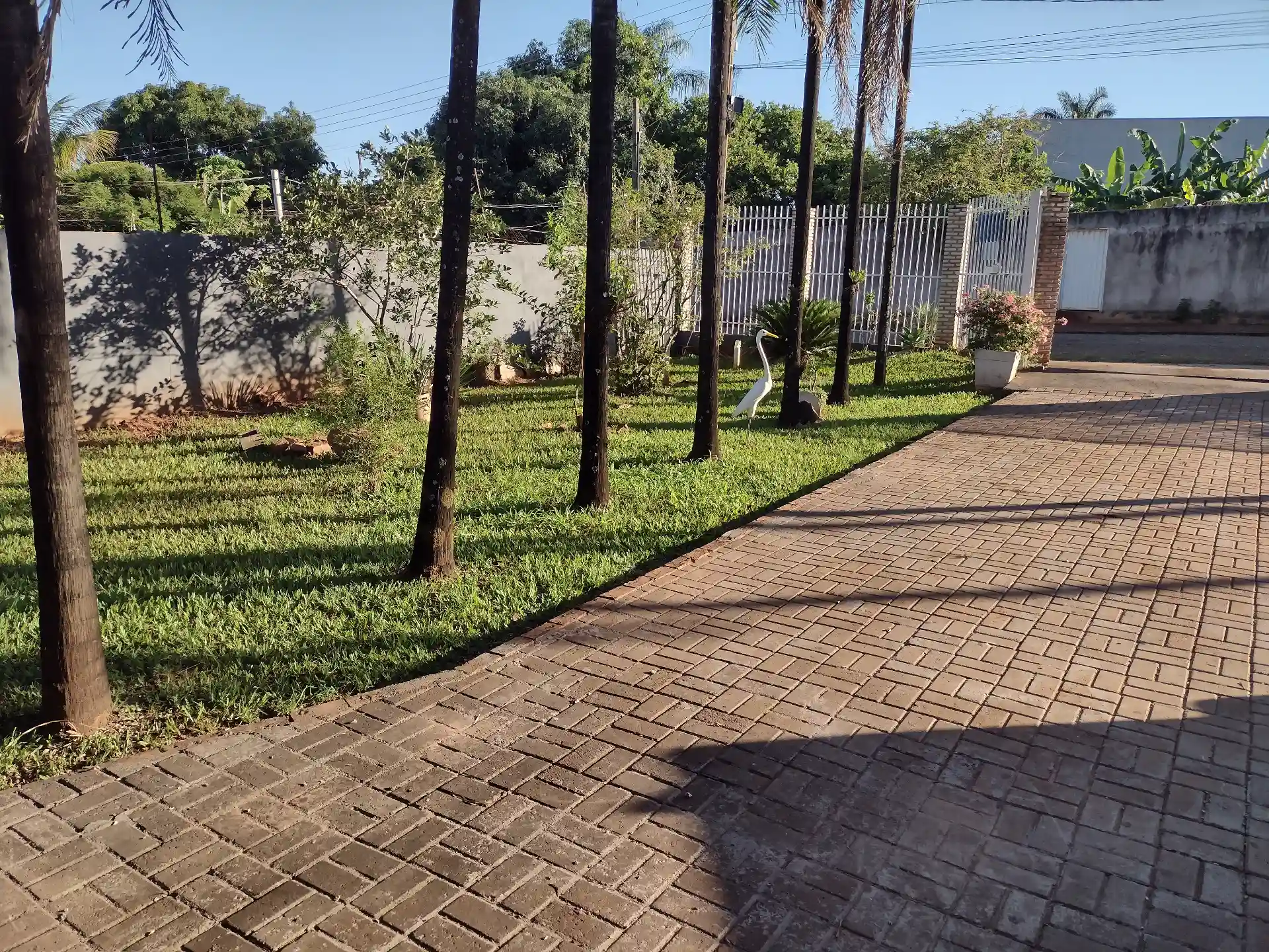 Fazenda / Sítio / Chácara com 2 quartos à venda, 1000m² — foto 4 de 28