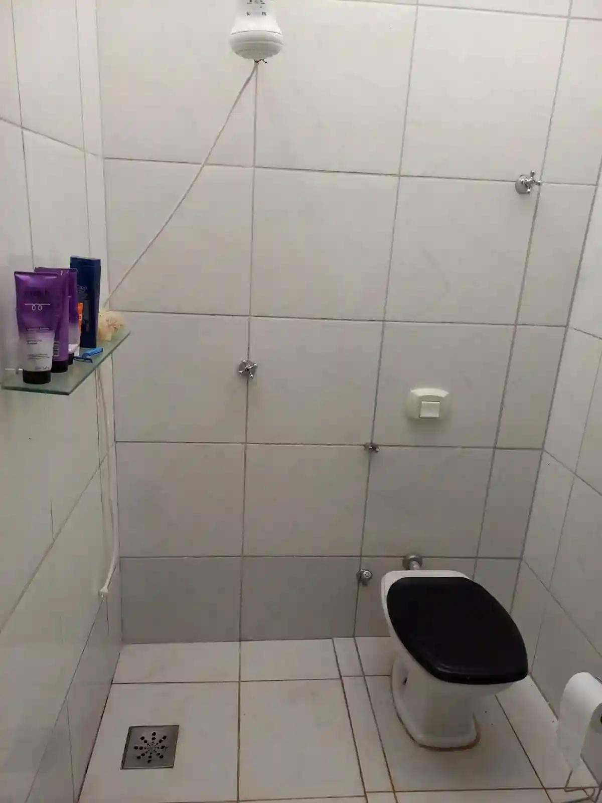 Fazenda / Sítio / Chácara com 3 quartos à venda, 1000m² — foto 5 de 10