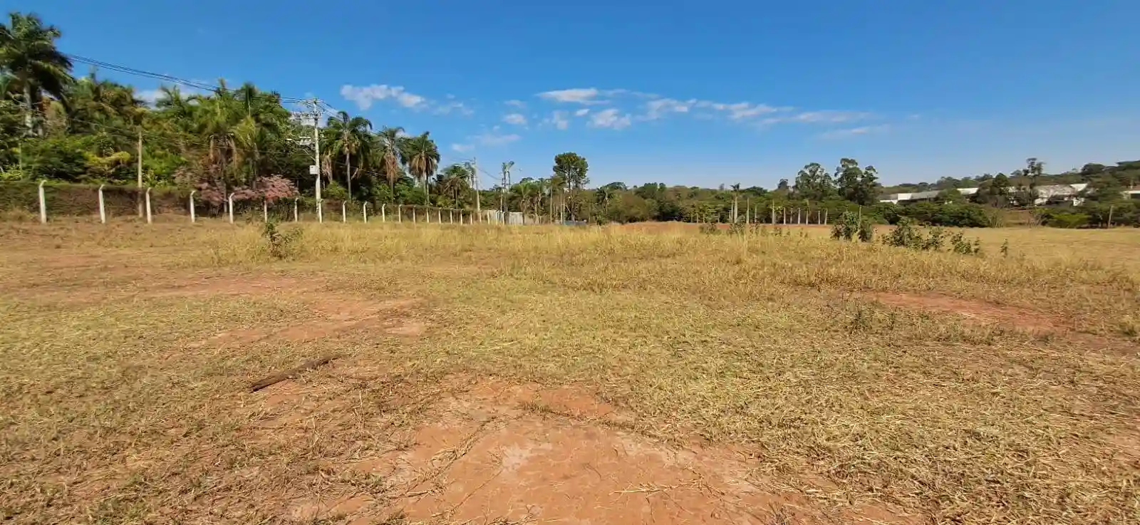 Imóvel Comercial à venda, 20000m² — foto 8 de 9