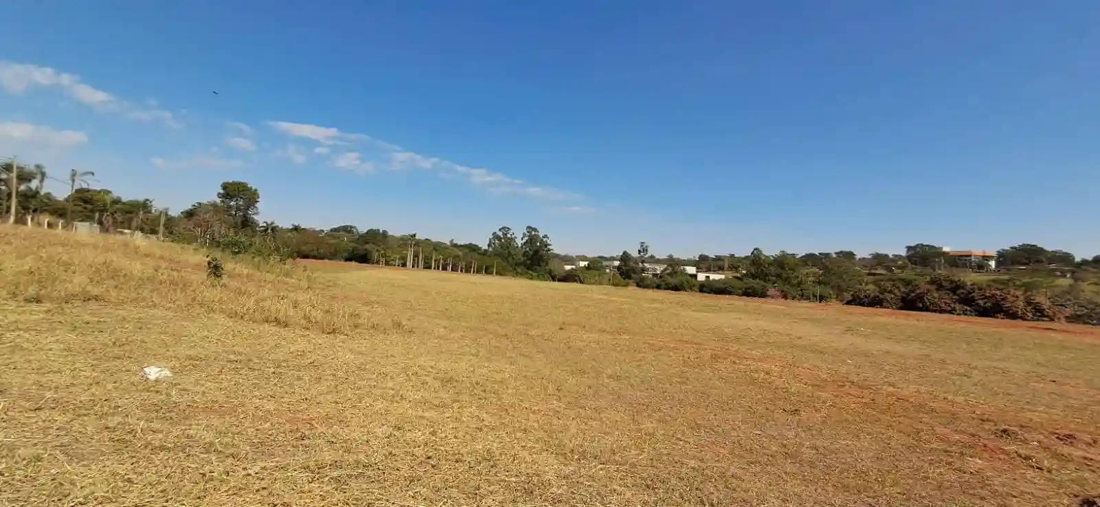 Imóvel Comercial à venda, 20000m² — foto 6 de 9
