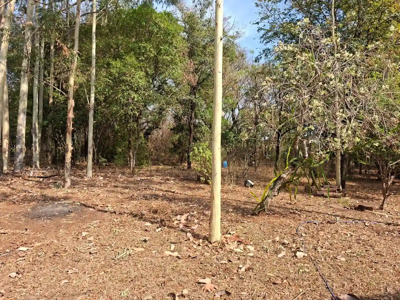 Fazenda / Sítio / Chácara com 3 quartos à venda, 4000m² — foto 24 de 25