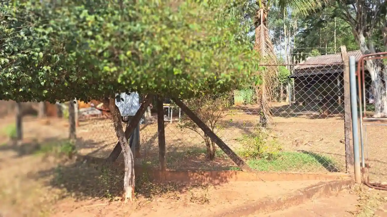 Fazenda / Sítio / Chácara com 3 quartos à venda, 4000m² — foto 2 de 25