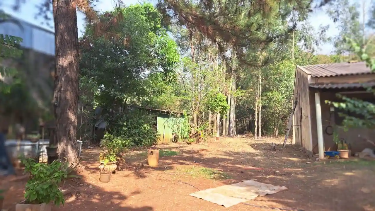 Fazenda / Sítio / Chácara com 3 quartos à venda, 4000m² — foto 16 de 25
