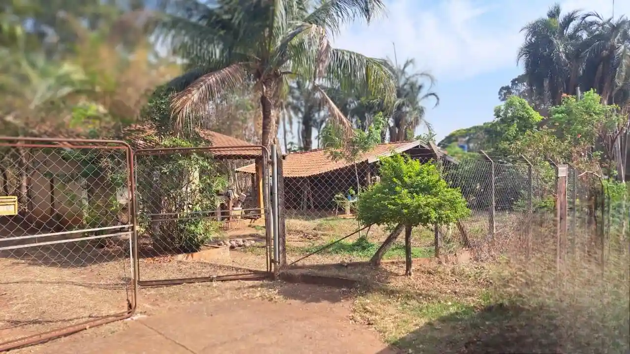 Fazenda / Sítio / Chácara com 3 quartos à venda, 4000m² — foto 6 de 25