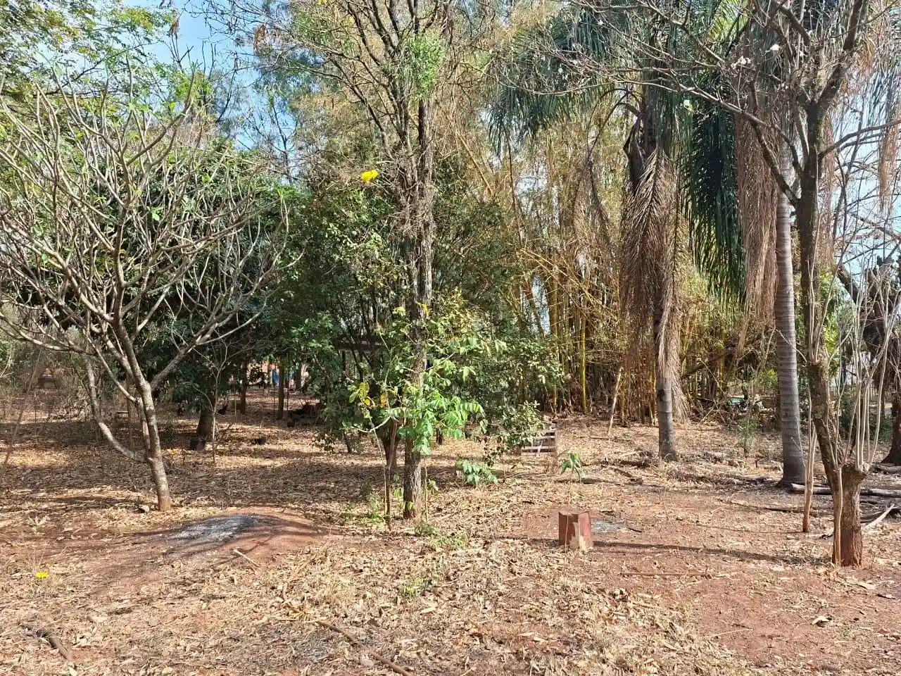 Fazenda / Sítio / Chácara com 3 quartos à venda, 4000m² — foto 25 de 25