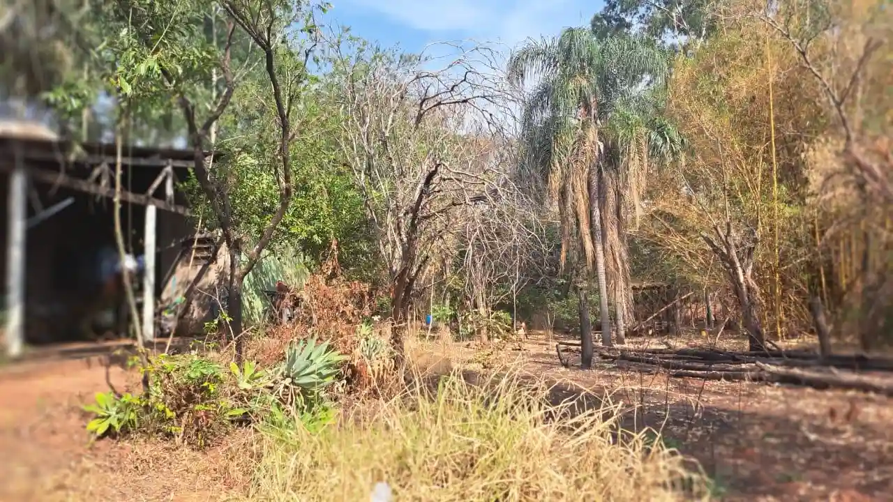 Fazenda / Sítio / Chácara com 3 quartos à venda, 4000m² — foto 21 de 25