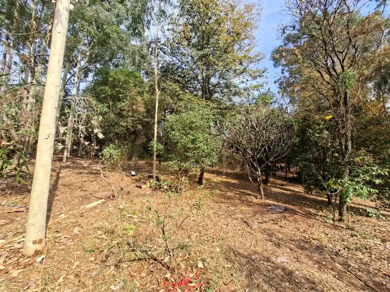 Fazenda / Sítio / Chácara com 3 quartos à venda, 4000m² — foto 22 de 25