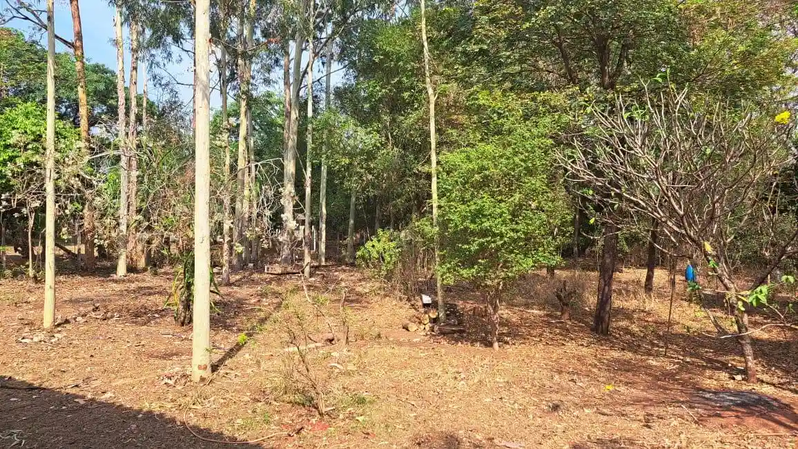 Fazenda / Sítio / Chácara com 3 quartos à venda, 4000m² — foto 9 de 25