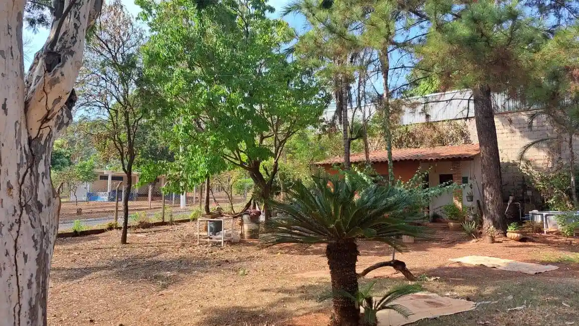 Fazenda / Sítio / Chácara com 3 quartos à venda, 4000m² — foto 15 de 25