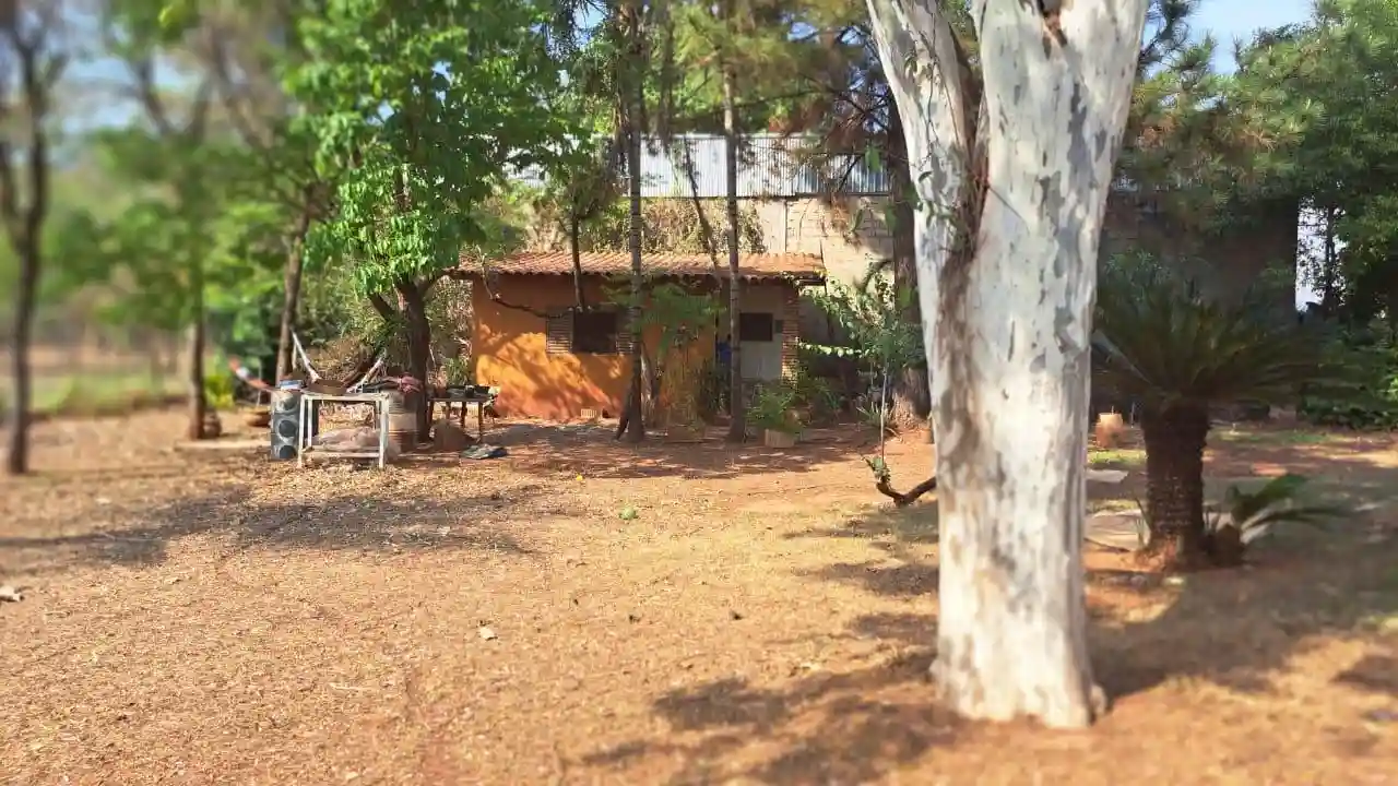 Fazenda / Sítio / Chácara com 3 quartos à venda, 4000m² — foto 12 de 25